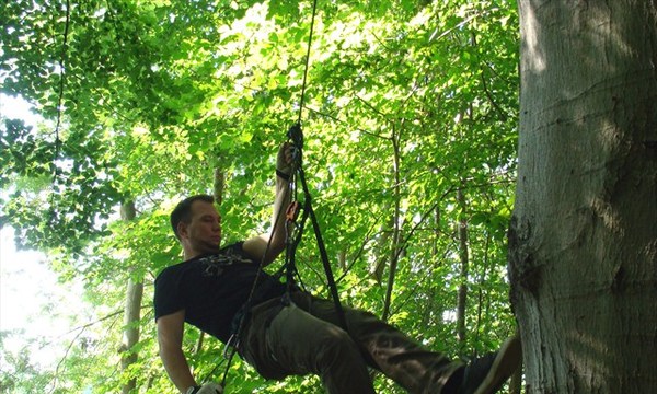 Tree climbing in Westensee
