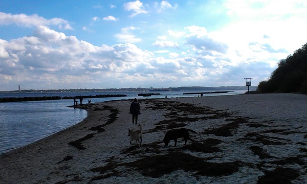 Strandspaziergang in Schilksee