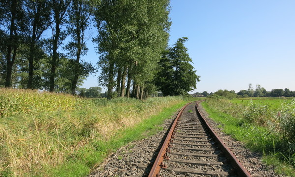 Draisine fahren in Marne