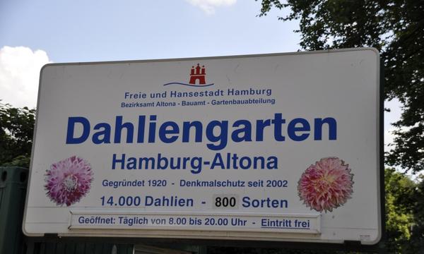Dahliengarten in Hamburg